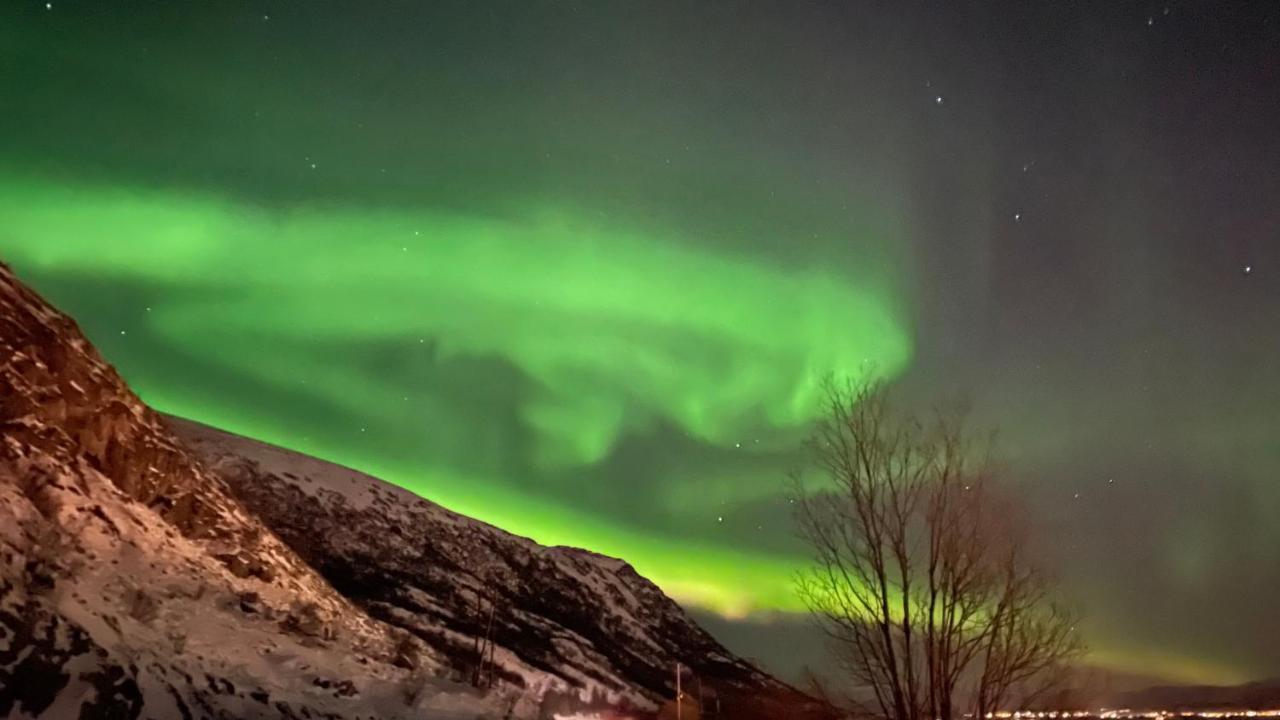 Lofoten Havfiske เลคเนส ภายนอก รูปภาพ