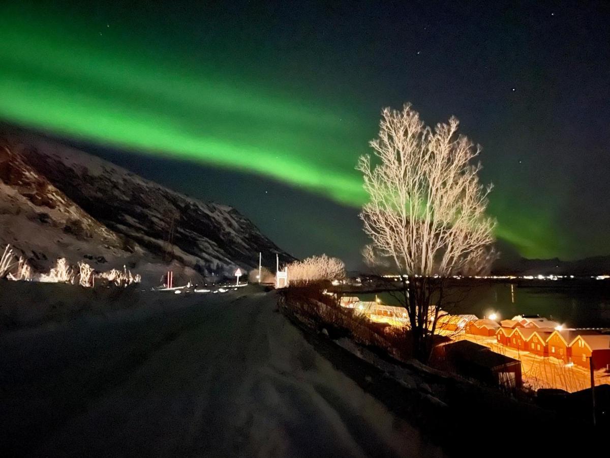 Lofoten Havfiske เลคเนส ภายนอก รูปภาพ