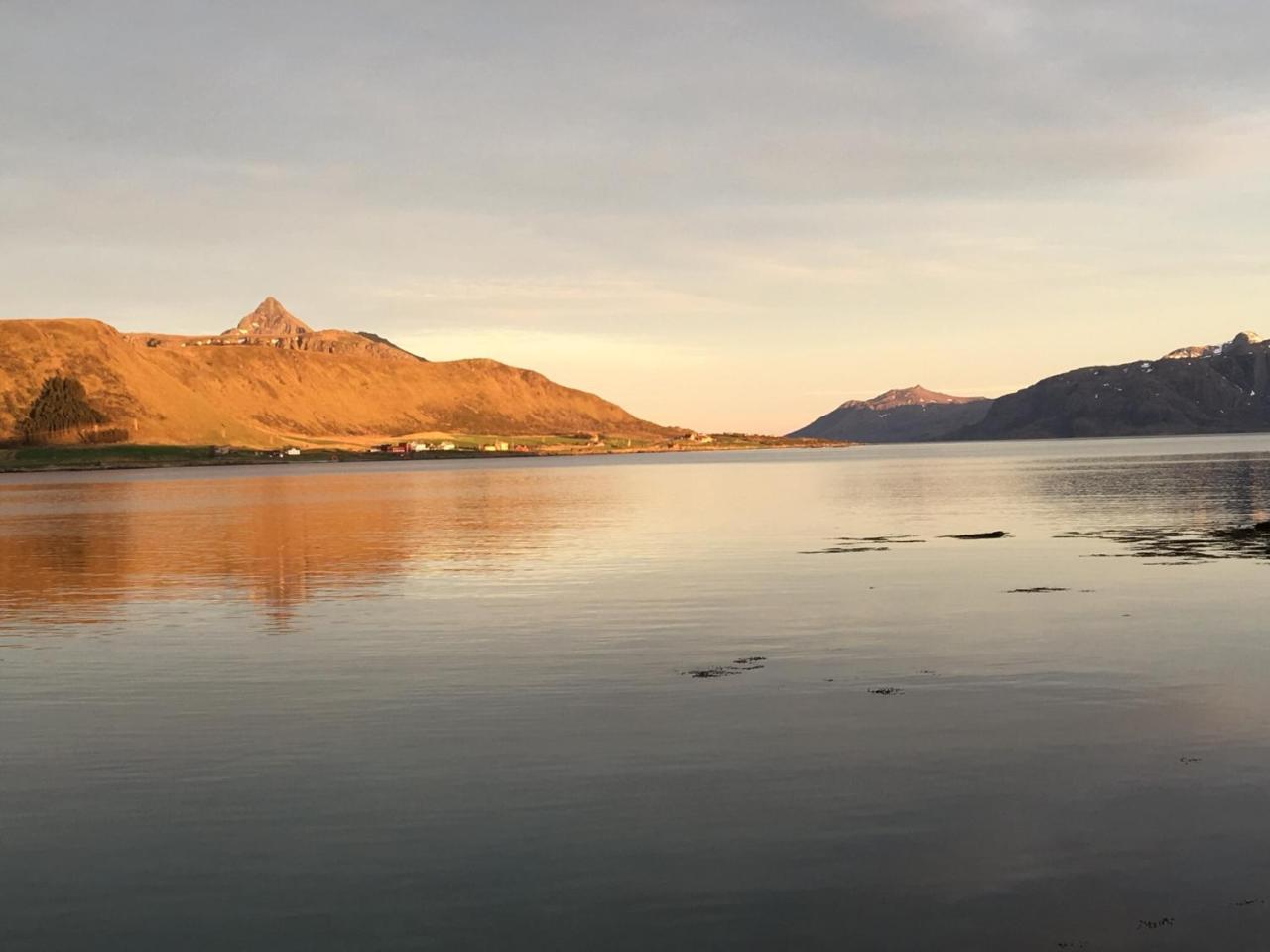 Lofoten Havfiske เลคเนส ภายนอก รูปภาพ